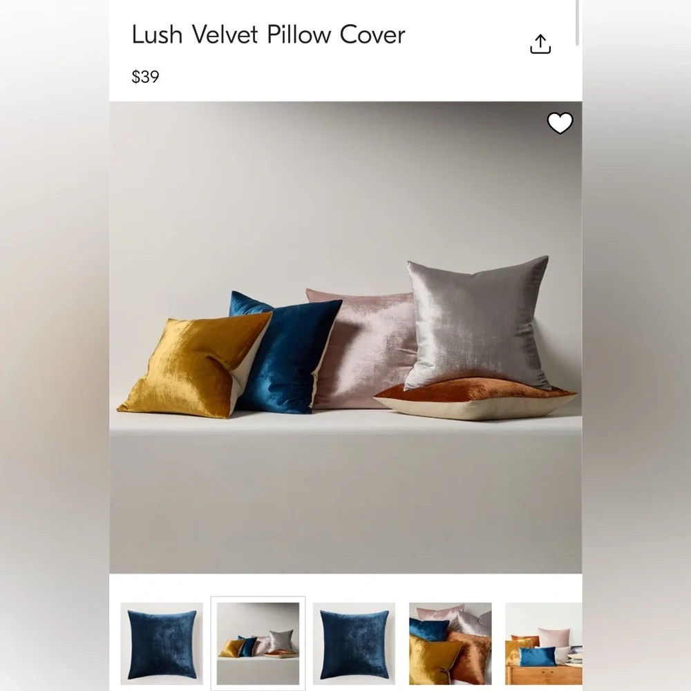 Two Velvet West Elm Pillow Covers
